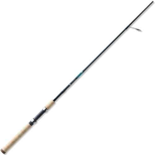 Best Ultralight Fishing Rods [Updated 2021]