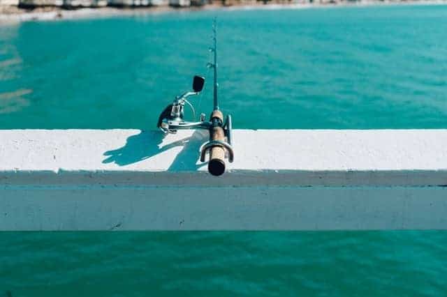 best ultra light fishing rod
