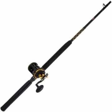 penn-squall-level-wind-best-saltwater-fishing-rod-and-reel-combo