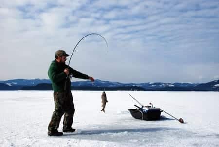 what-to-look-for-in-an-ice-fishing-reel