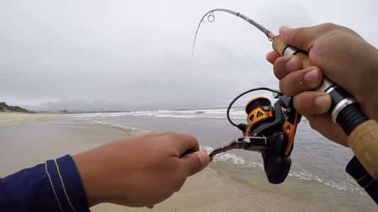 what-to-look-for-in-an-ultralight-fishing-rod