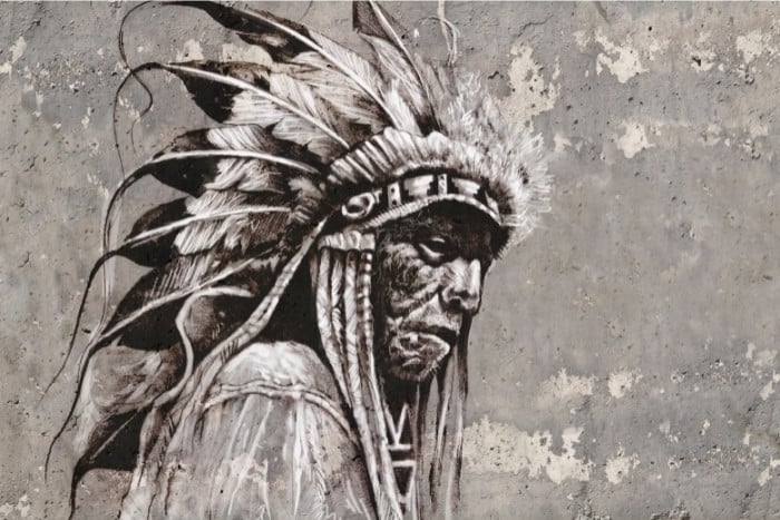 Ojibwa Natives