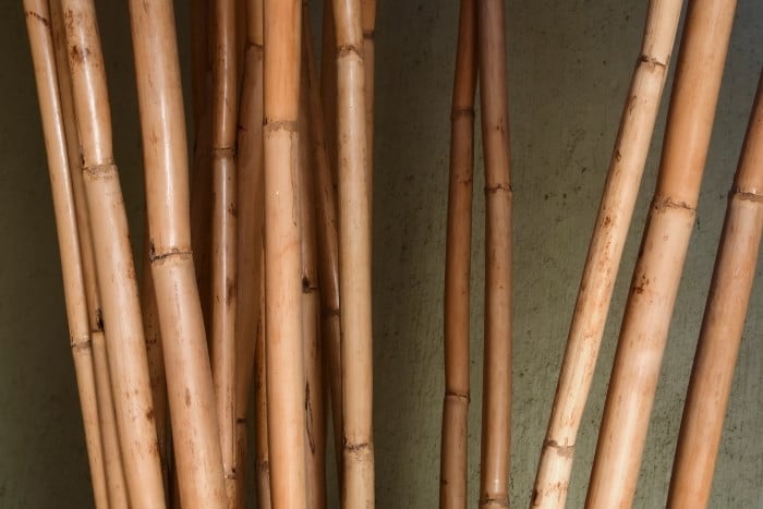 Bamboo Cane Pole