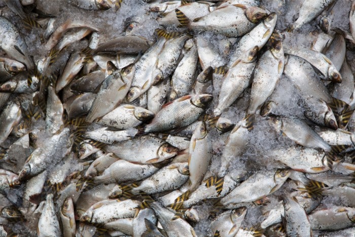 Danger of Overfishing