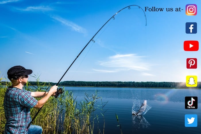 Fishing and Social Media