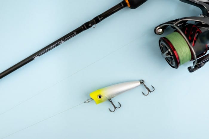 Top Water Lures