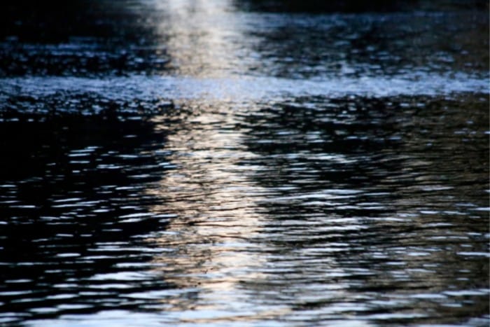 Catching Fish Near Structure- Still Water