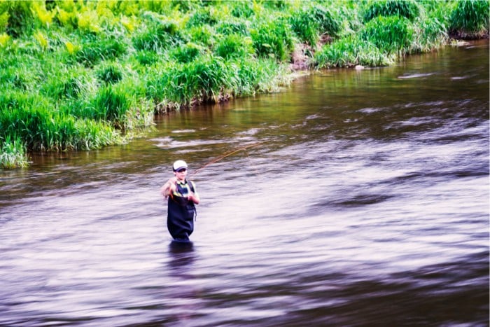 Fish Near Moving Water