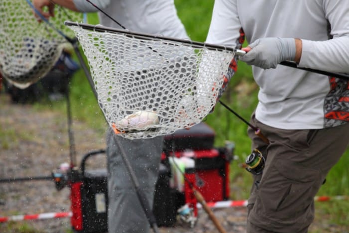 Fishing for Sport and Competition