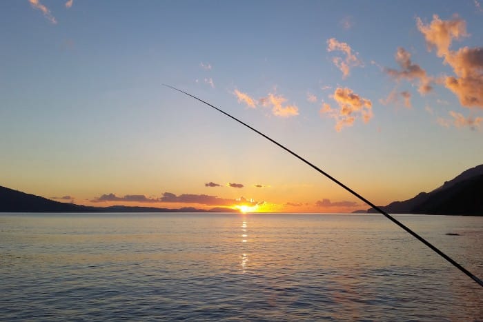 People Fish For Trout To Connect With Nature