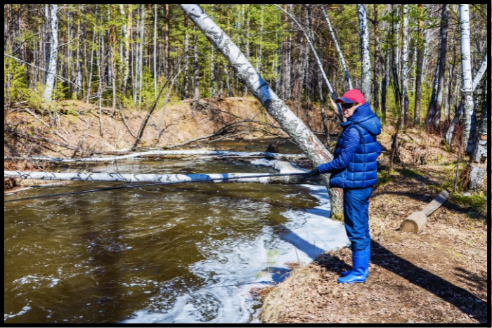 Best Time To Catch Trout In Spring