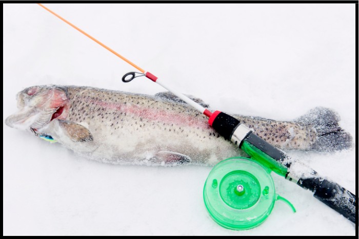 Best Time To Catch Trout In Winter